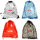 Phoenix Clear Drawstring Backpack